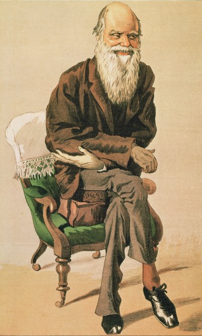 Men of the Day, no. 33, Charles Darwin by Unbekannt Unbekannt
